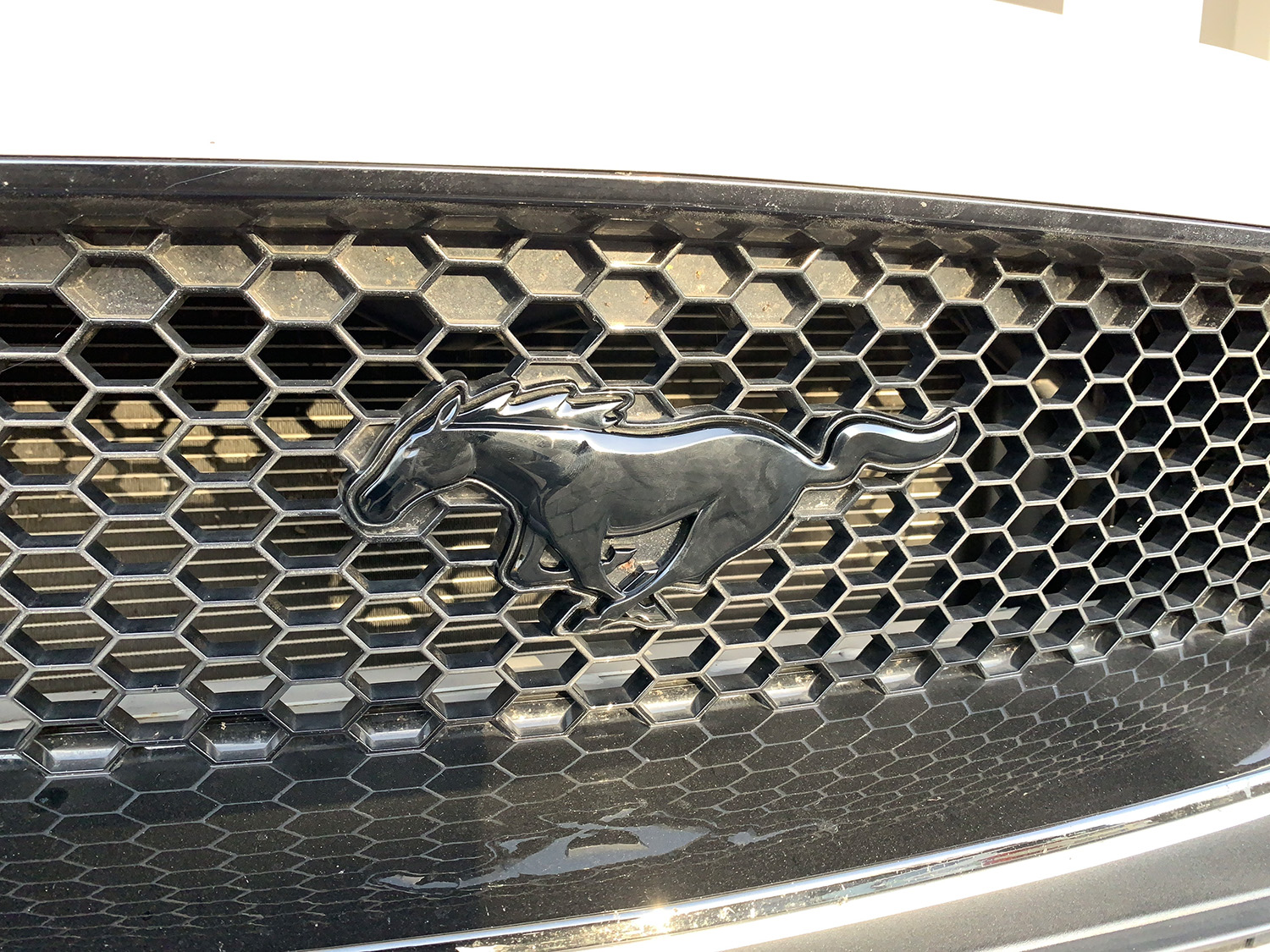 Mustang Emblem schwarz glänzend Kühlergrill für Mustang 2015-2022, Zubehör, Mustang 6 FL 2018-2023, Mustang Tuning